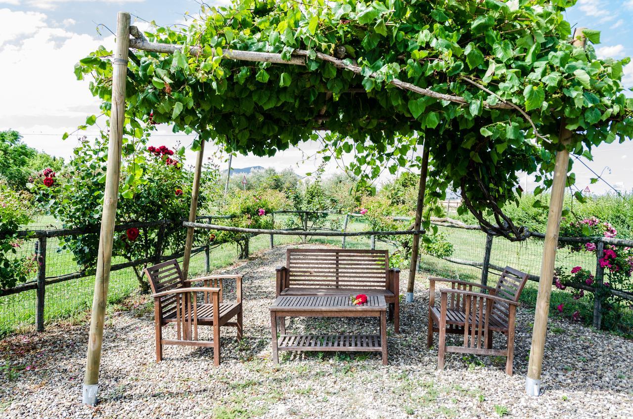 Agriturismo Il Roseto Marina di Grosseto Exterior photo